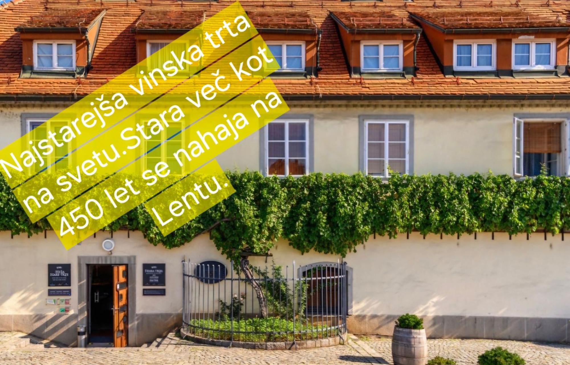 Apartment Dolce Vita Maribor Exterior photo